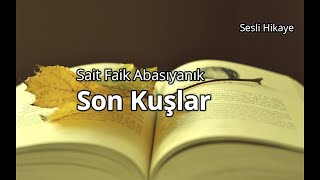 Son KuşlarSait Faik Abasıyanık Sesli HikayeYüksek Ses Kalitesi [upl. by Ainiger759]