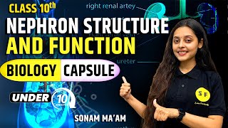 Nephron structure and function Biology Capsule  CBSE Class 10 Topic Under 10 Minute by Sonam Maam [upl. by Fortna]