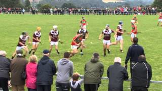 Wexford GAA TV I U21 Wexford Premier Hurling final from 2014 [upl. by Nov565]