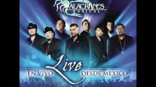 Alacranes Musical quotSin Tu Amorquot En Vivo Desde Mexico [upl. by Anelahs]