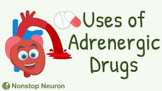 Uses of Adrenergic Drugs  Sympathomimetic Drugs Pharmacology  Adrenaline Noradrenaline etc [upl. by Westhead723]