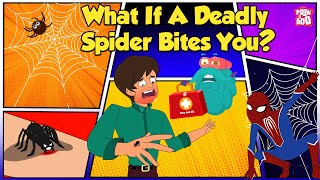 How Does Spider Bite  Worlds Deadliest Spiders  Most Venomous Spider  The Dr Binocs Show [upl. by Auria722]