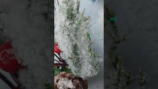 DIY artificial snow diy paper papercraft crafts craftideas snow crafting crafty craftidea [upl. by Leciram]