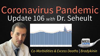 COVID 19 Update Update 106 Comorbidities and Excess Deaths Bradykinin and Coronavirus [upl. by Les]