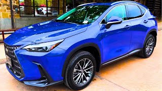 2023 Lexus NX250 Walkaround [upl. by Asta524]