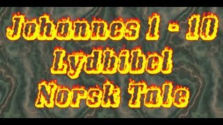 Lydbibel  Johannes 1  10 [upl. by Raymonds]