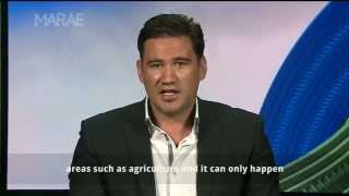 Ngapuhi Cash Cows  Te Tumu Paeroa Maori Trustee Jamie Tuuta [upl. by Pattin916]