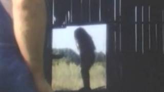 Boggy Creek 2 Trailer 1983 [upl. by Sigvard338]