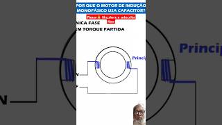 The Capacitor of the SinglePhase Induction Motor [upl. by Ominorej286]