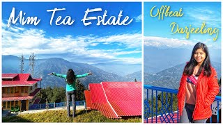 Our Stay at Mim Tea Estate  Offbeat Darjeeling  Little Forest Homestay [upl. by Irving]