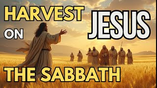 Harvest on the Sabbath [upl. by Gaston]