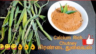 Pirandai Thuvaiyal recipe  Pirandai chutney Adamant creeper chutney in tamil  Deepas Tea time [upl. by Winchester809]