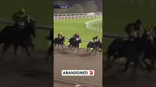 Race is abandoned at Chelmsford after the stalls are left on the track horse youtubeshorts fyp [upl. by Ettigirb]