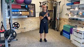 Weak Back Muscles amp Training Erector Spinae [upl. by Mullen221]