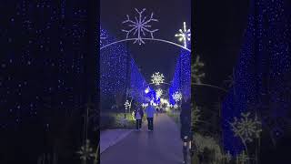 Winterfest riverwalk Pigeon Forge lightings [upl. by Euqinimod]