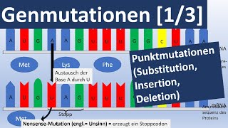 Genmutationen 13 Punktmutationen Insertion Substitution Deletion  Genetik Oberstufe [upl. by Annahs]