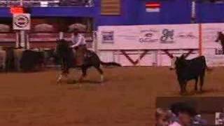 2008 NCHA Super Stakes Classic Open [upl. by Llehcal]