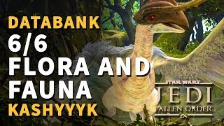 Flora and Fauna Kashyyyk All Databank Locations Star Wars Jedi Fallen Order [upl. by Ecnesse294]