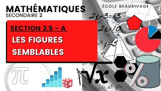 25 A  Les figures semblables [upl. by Akeylah646]