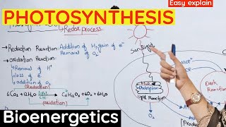 Photosynthesis  Reaction of photosynthesis class 11 bioenergetics [upl. by Trautman]