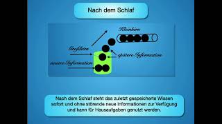 Wie funktioniert Lernen in unserem Gehirn und wichtige Lerntips [upl. by Dorren]