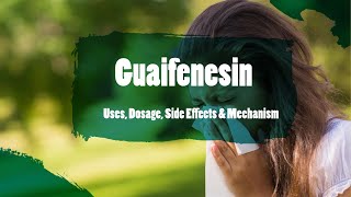 guaifenesin  Uses Dosage Side Effects amp Mechanism  Bisolvon [upl. by Tunnell617]