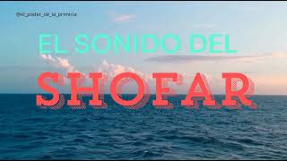 EL SONIDO DEL SHOFAR shofar libercion youtube youtubeshorts shortvideos frasess amor love [upl. by Fiel535]