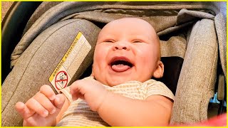 Funny Babies Laughing Hysterically Compilation Of May  Cute Baby Videos [upl. by Melantha]