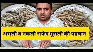 सफेद मूसली की पहचान Safed Musli Ki Pehchan। सफेद मूसली । Safed Musli [upl. by Pare17]