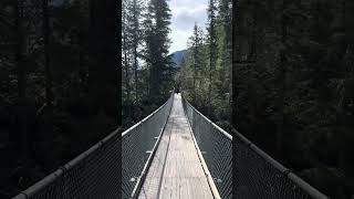 Crazy Creek suspension bridge [upl. by Selhorst]