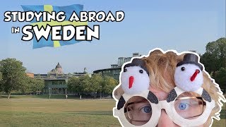 Study Abroad in Sweden  Things You Should Know Before Your Exchange [upl. by Flory]