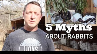 THE 5 RABBIT MYTHS I WAS TOLD [upl. by Notnroht]