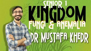 Kingdom fungi and planate senior 12nd term  دكتور مصطفي خضر [upl. by Trevethick410]