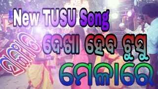 New Tusu jhumar song 2019  Sangat Dekha heba Tusu Melare [upl. by Sigismundo170]