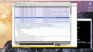 Rtmpdump demo [upl. by Sido]