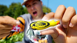 Fishing NEW Topwater DUCK Lure for Snakehead [upl. by Neils]