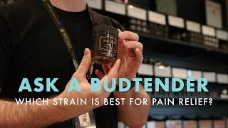 Which Strain Is Best For Pain Relief  Ask A Budtender [upl. by Yemrej841]