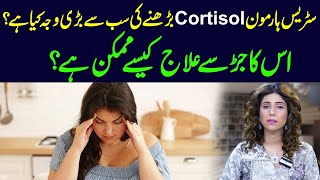 What is the main cause of increased stress hormone cortisol  Dr Sahar Chawla [upl. by Sulihpoeht]