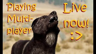 Playing WolfQuest 3 AE Multiplayer Live [upl. by Azeret985]