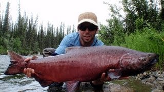 MULTIDAY Alaska King Salmon Fishing  Koenigs Lachs Angeln  Float Trip [upl. by Asirb]