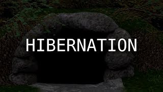 Hibernation  Lyric Video DAGames [upl. by Eenimod579]