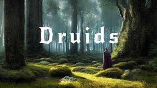 Druids  Soothing Ambient Music For Sleep and Stress Relief  Ambient Rain and Thunder [upl. by Eimmas]