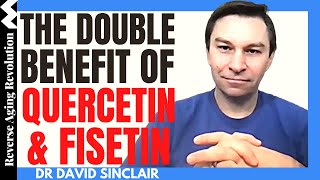 The DOUBLE Benefit of QUERCETIN amp FISETIN  Dr David Sinclair Interview Clips [upl. by Aveneg]