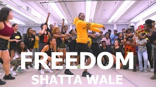 Shatta Wale  Freedom  Meka Oku Afro Dance Choreography [upl. by Eryn726]