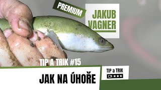 Tipy Jakuba Vágnera  Jak na úhoře [upl. by Charlotte702]