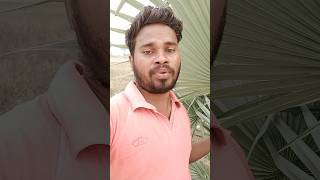 Sem To Sem Song shorts funny comedy explore trending [upl. by Ymmot]