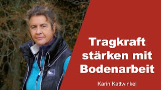 Tragkraft vom Pferd stärken mit Bodenarbeit  Karin Kattwinkel  1 [upl. by Gwen]