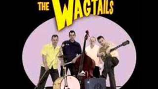 the wagtails please be fair [upl. by Philipson]