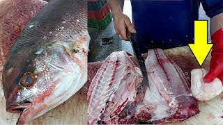 Amazing Cutting Skills  Red Snapper  Easiest Way To Remove Fish Skin [upl. by Whipple]