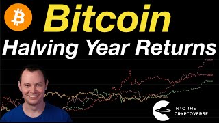 Bitcoin Halving Year Returns [upl. by Weslee597]